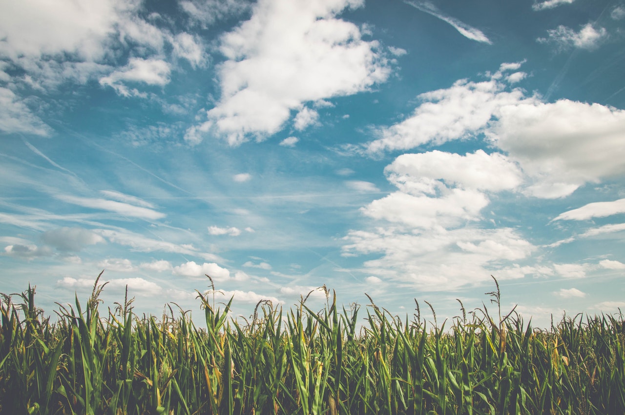 Modern Misconceptions About Heaven