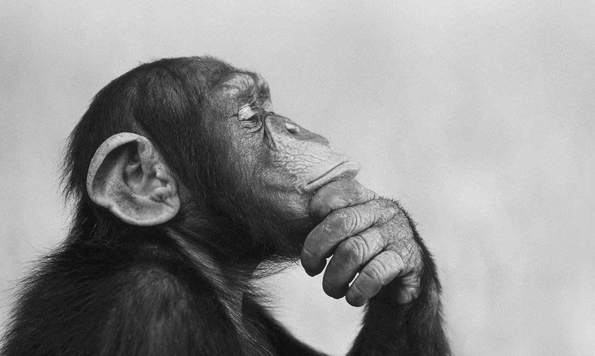 Renew: Right Thinking