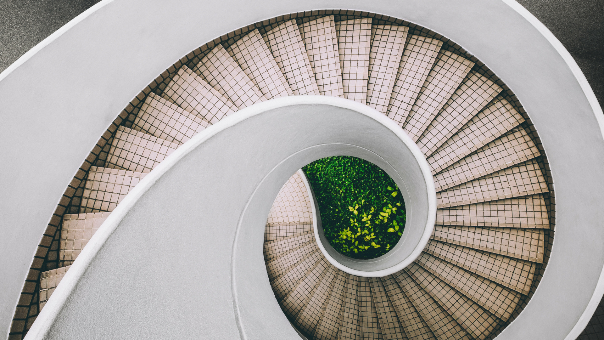 Day 13: Why Culture Matters