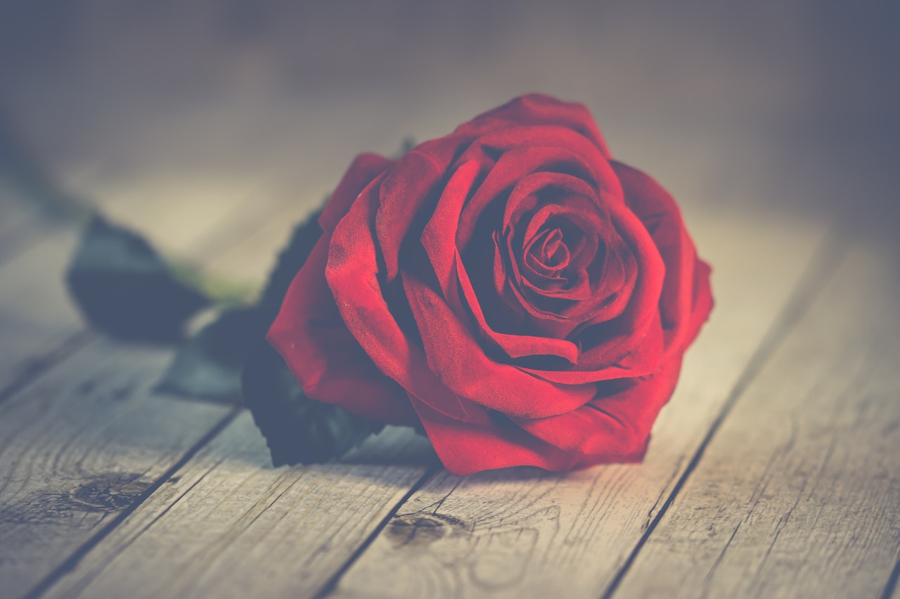 Gently and in Love